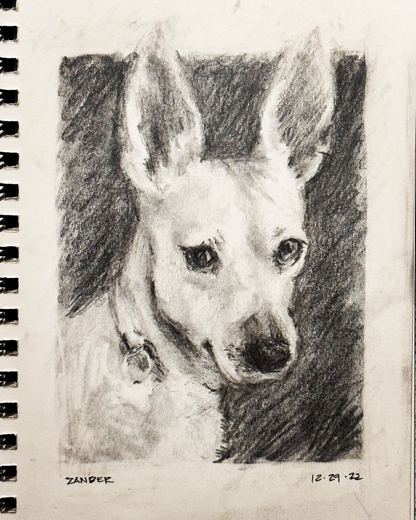 My project for course: Portrait Sketchbooking: Explore the Human Face 3