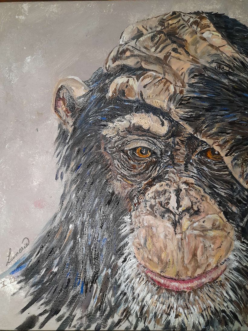 Reflet de conscience 2