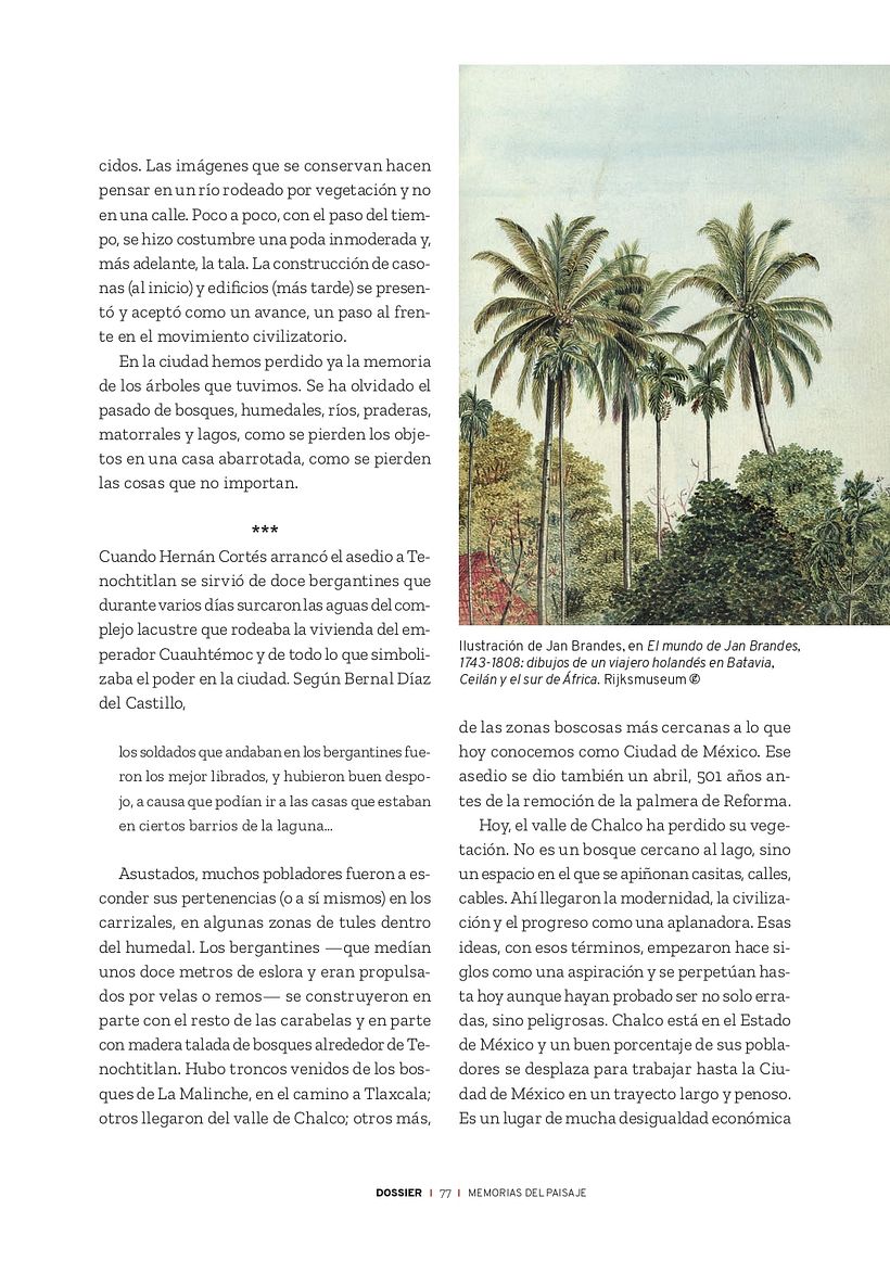 Mi proyecto del curso: La ciencia de la escritura: narra lo que te apasiona 2