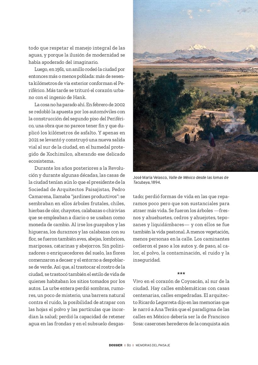Mi proyecto del curso: La ciencia de la escritura: narra lo que te apasiona 5