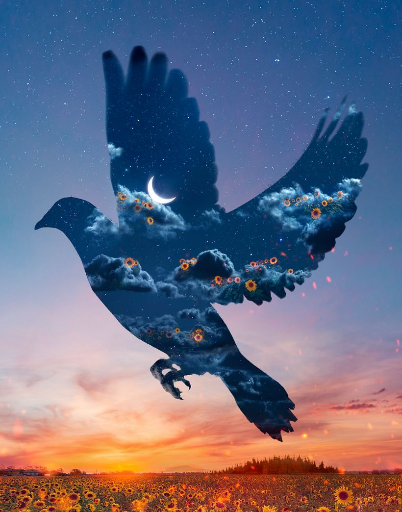 Who looks outside, dreams; who looks inside, awakes. -Carl Jung 1