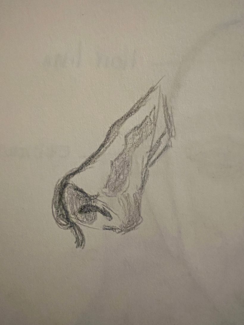 My project for course: Portrait Sketchbooking: Explore the Human Face - Esboçado