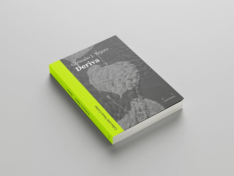 Mi proyecto del curso: Diseño editorial: Cómo se hace un libro 4