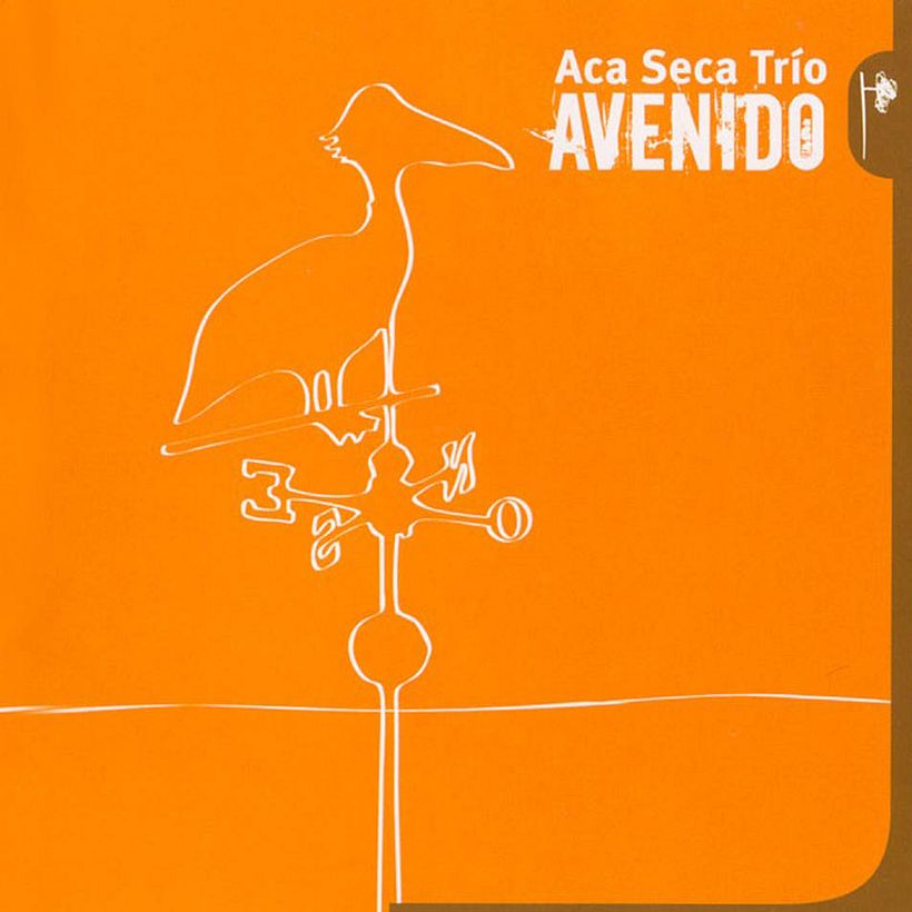 Aca Seca Trío, Avenido 1