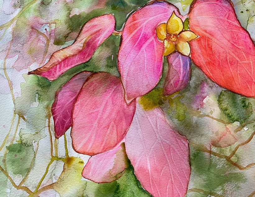 My project for course: Artistic Floral Watercolor: Connect with Nature 1