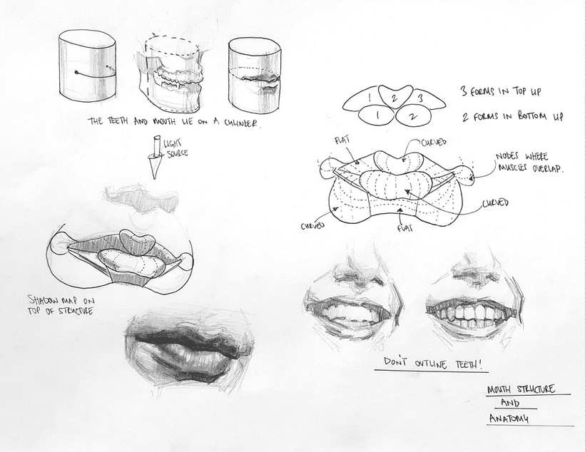 Explore portrait artist Sam Brisley's Facial Feature Cheat Sheet.
