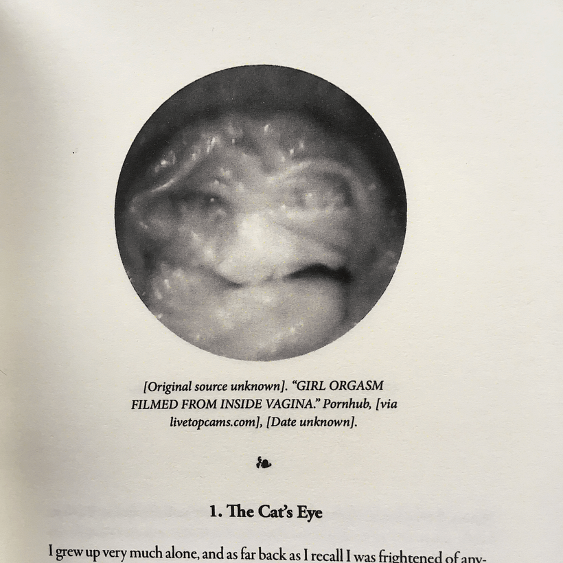 A Visual Interpretation of Georges Bataille's Story of the Eye 4