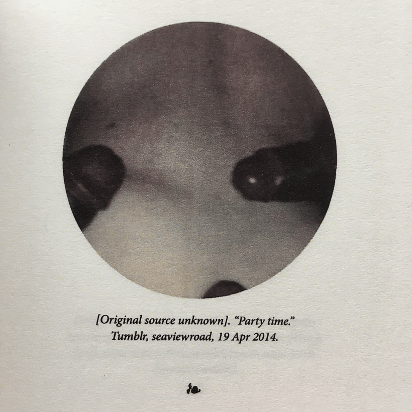 A Visual Interpretation of Georges Bataille's Story of the Eye 6