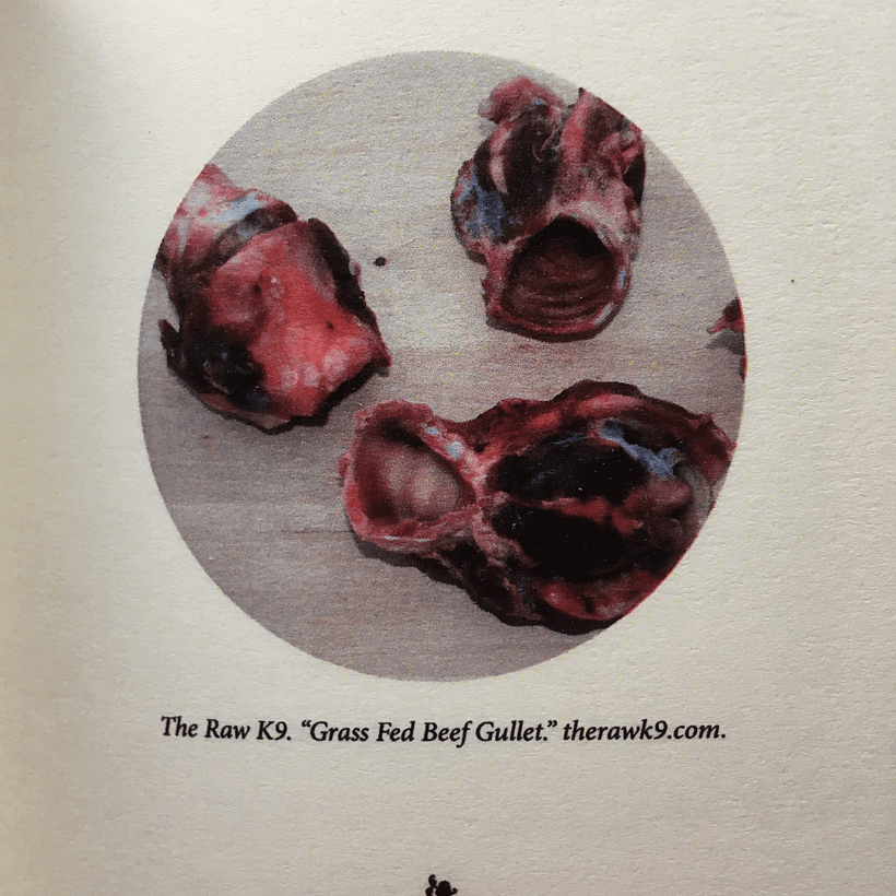A Visual Interpretation of Georges Bataille's Story of the Eye 7