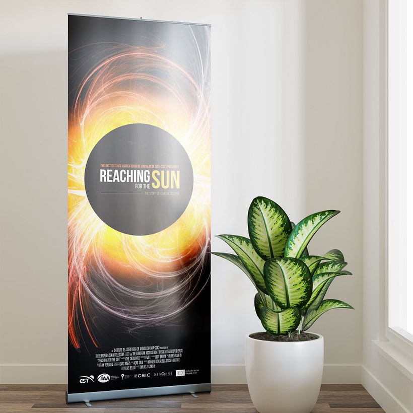 Reaching for the sun 4