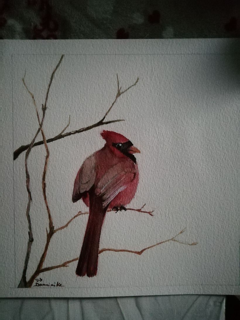 CARDINALE ROSSO Il mio progetto del corso: Illustrazione naturalistica: acquerello in positivo e negativo 2