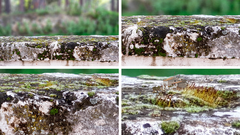 Líquenes masía  (Serie Micropaisajes)