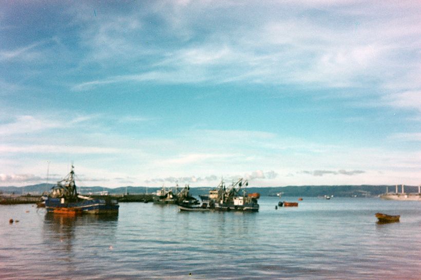 Talcahuano - Chile - Cámara Olympus Trip 35 con Película de cine Fuji 160