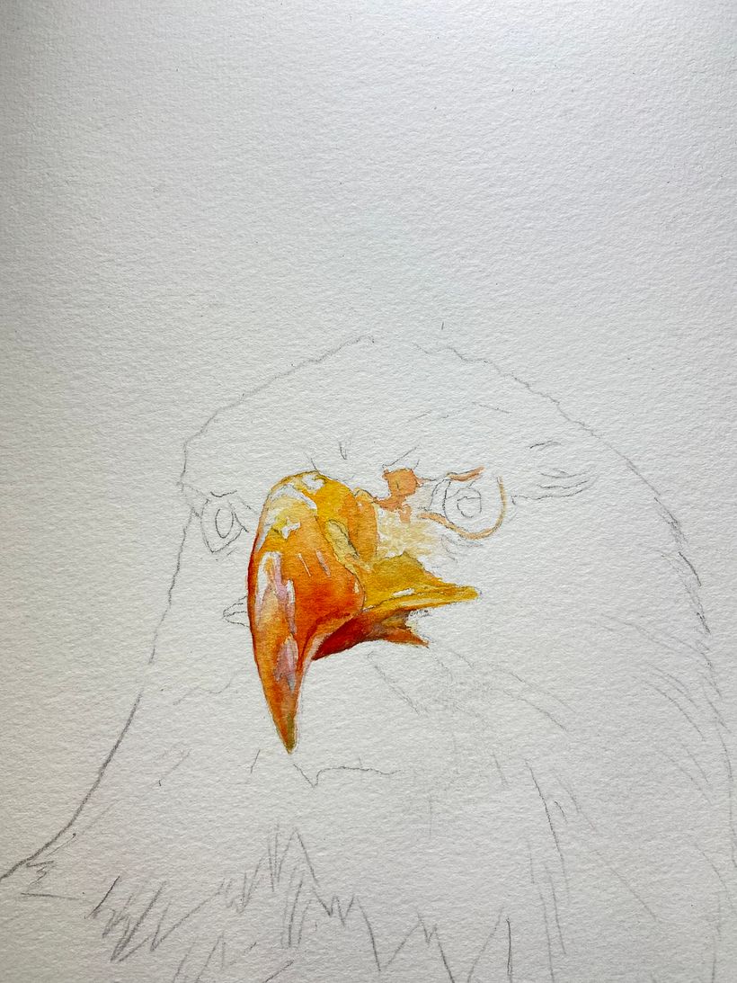 Satte Töne mit Akzenten in Orange und Purpur 