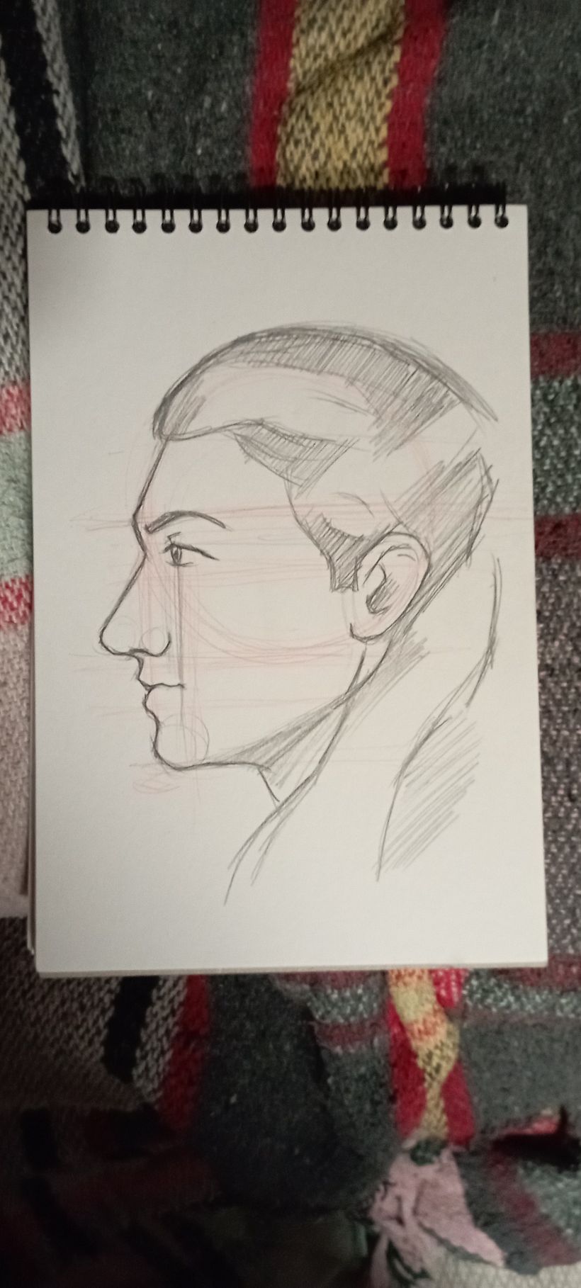 Mi proyecto del curso: Cuaderno de retratos a línea con grafito 2