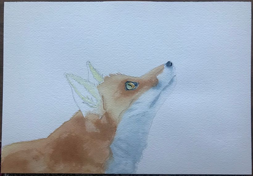 Here is my first wash, along with focusing on the eye and nose.