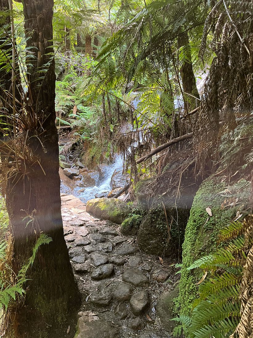 La La Falls 6