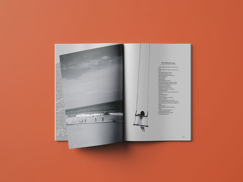 Meu projeto do curso: Introdução ao design editorial 4