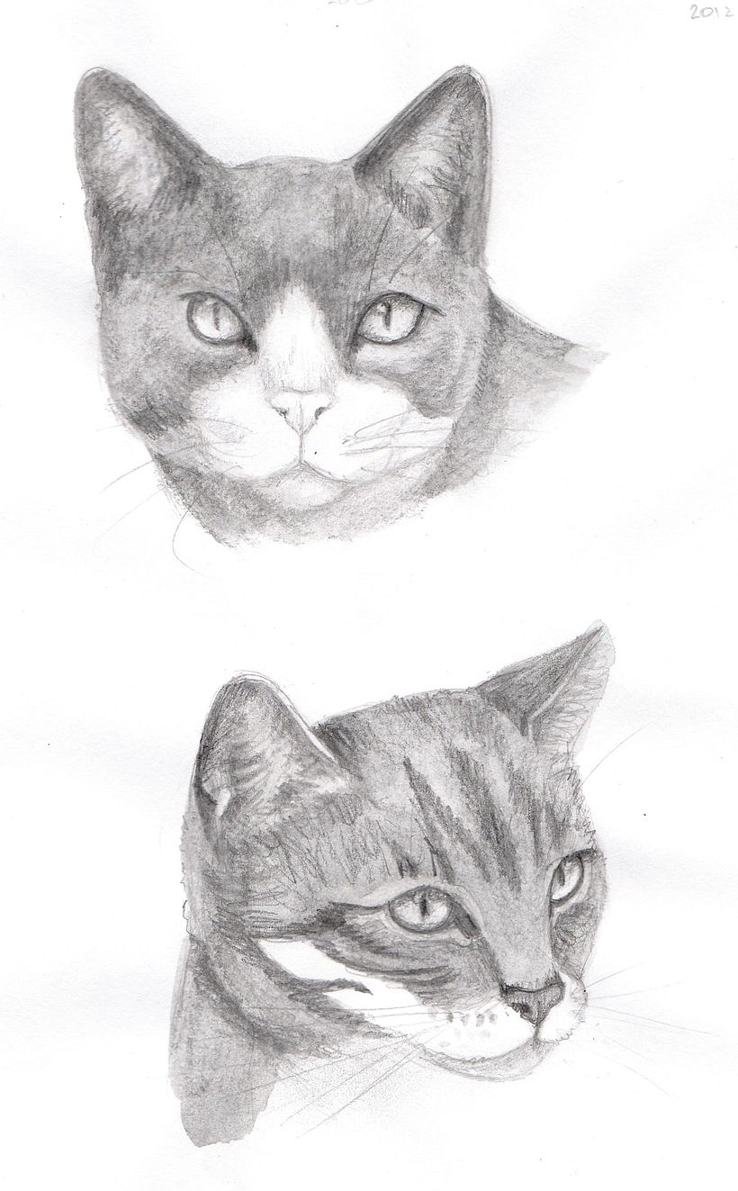 My project for course: Illustrated Portrait in Watercolor 2
