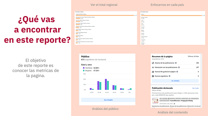 Mi proyecto del curso: Introducción al community management 6