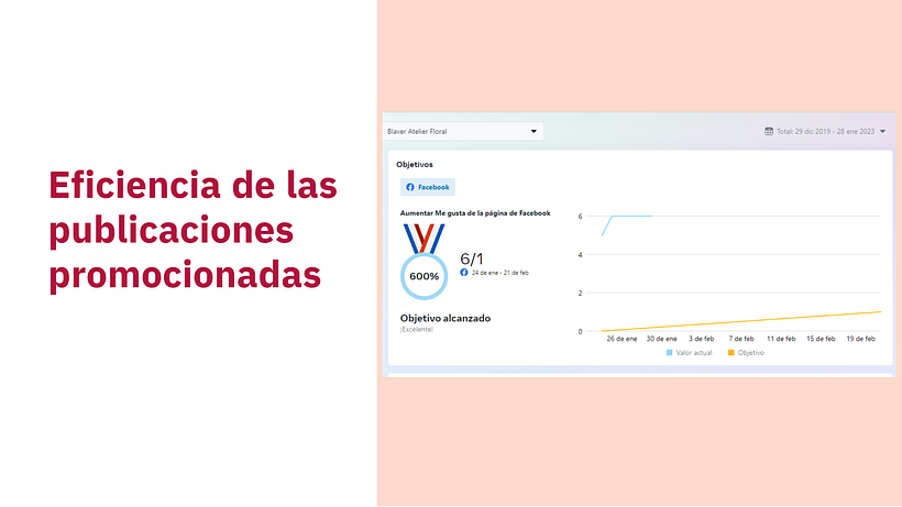 Mi proyecto del curso: Introducción al community management 8