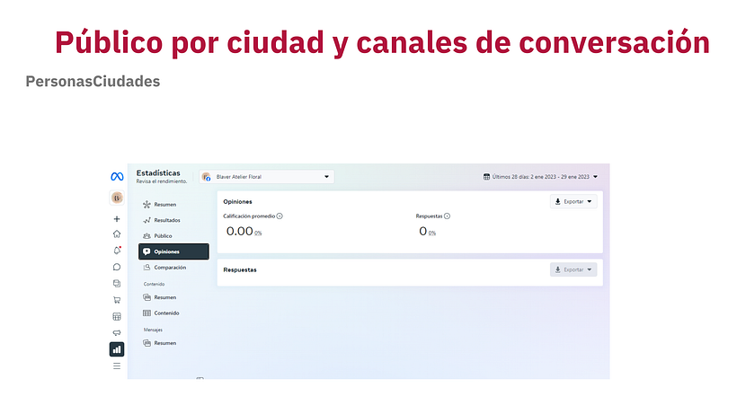 Mi proyecto del curso: Introducción al community management 14