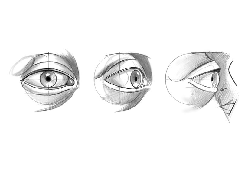 Mi Proyecto del curso: Dibujo anatómico de la cabeza humana - Bellas Artes
