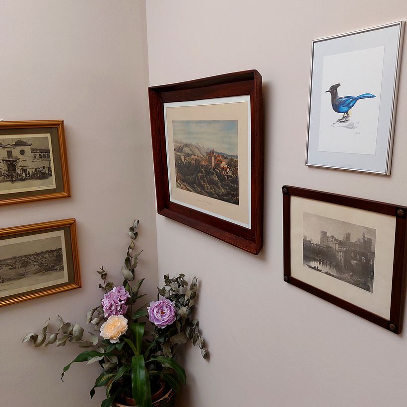 Tienda online de Lola Azcoytia. Serie "Pájaros". Chiara 2