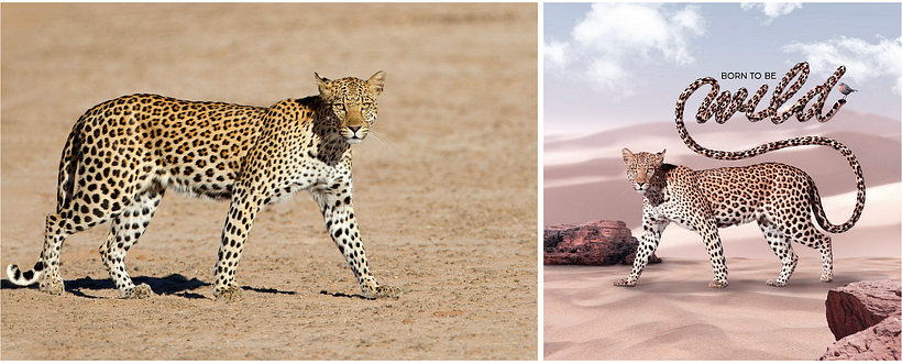 My project for course: Fantastical Photomontage and Illustrations in Photoshop 6