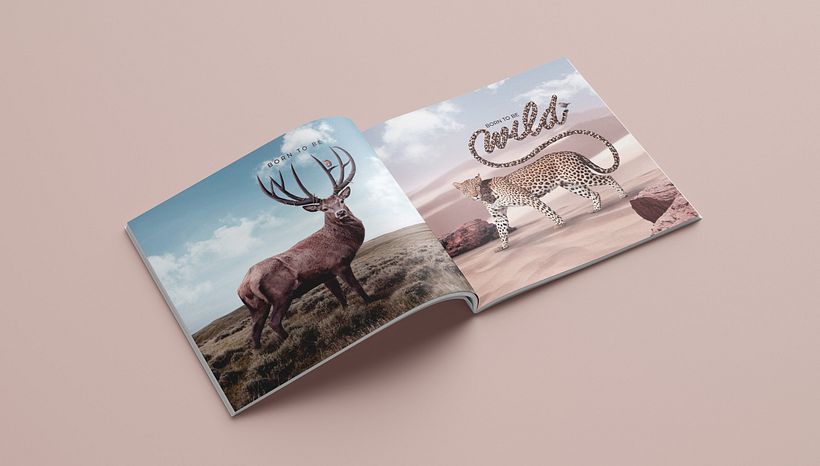 My project for course: Fantastical Photomontage and Illustrations in Photoshop 7