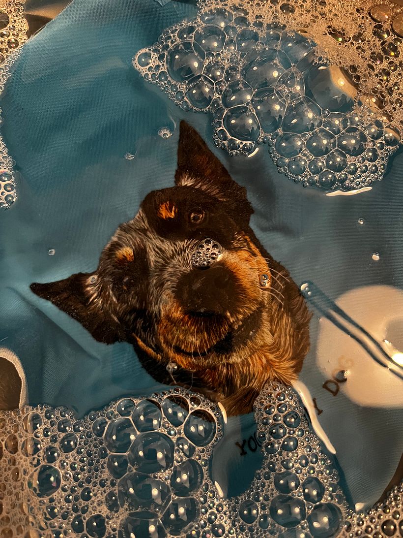 Bathing time
