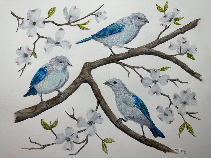 My project for course: Artistic Watercolor Techniques for Illustrating Birds 2