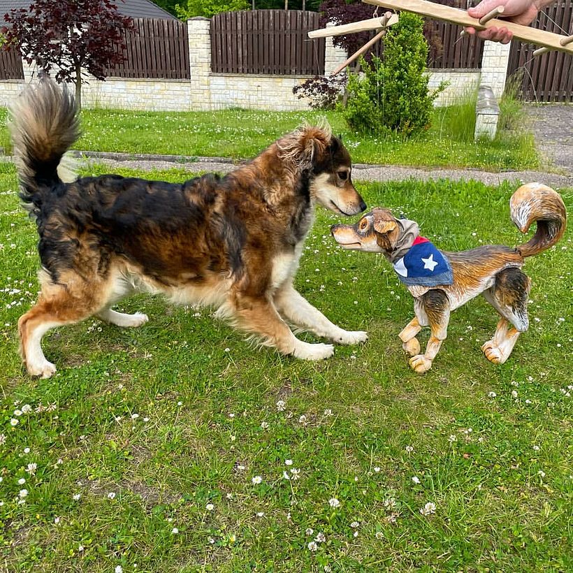 Dog marionette 7