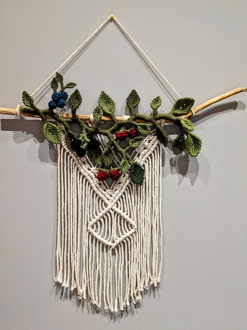 My project for course: 3D Macramé for Botanical Wall Hanging 2