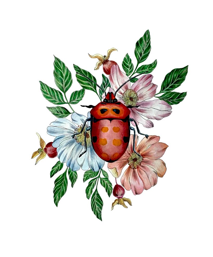 Acuarela 