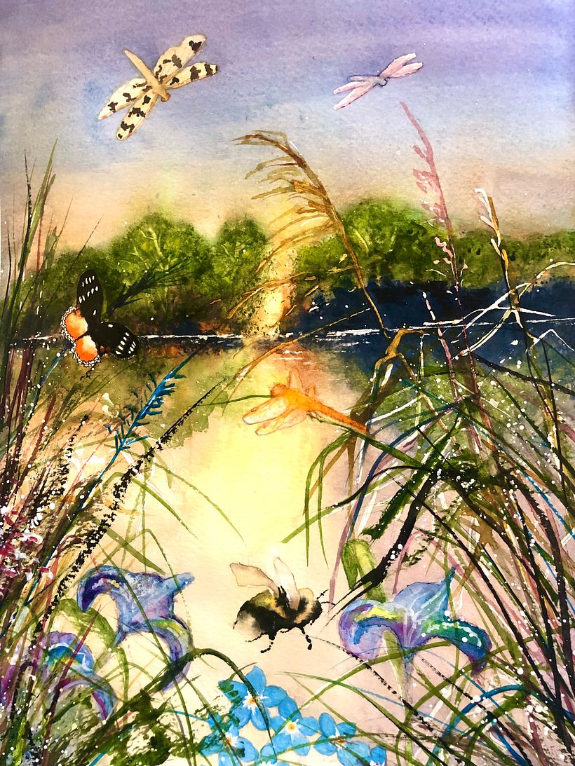 Evening at the Lake