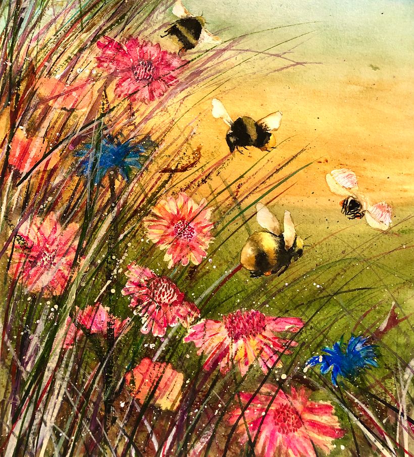 Working Meadow 
