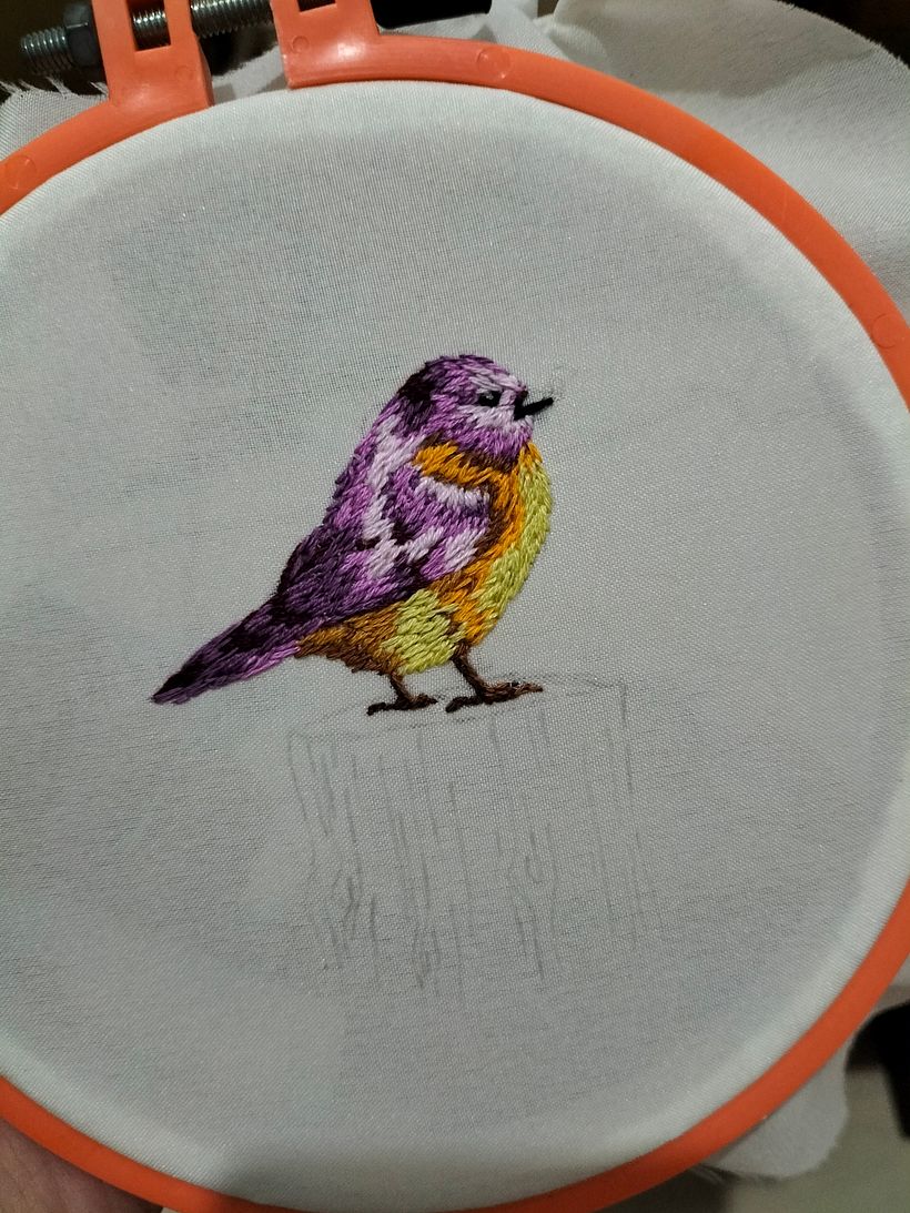 My project for course: Realistic Embroidery Techniques 2