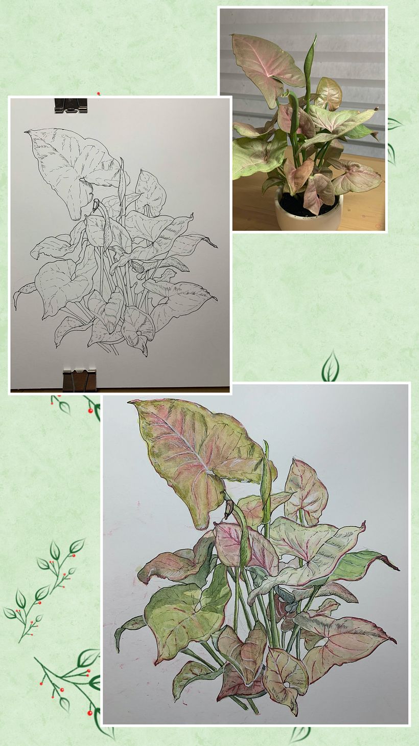 My project for course: Botanical Sketchbooking: A Meditative Approach 3