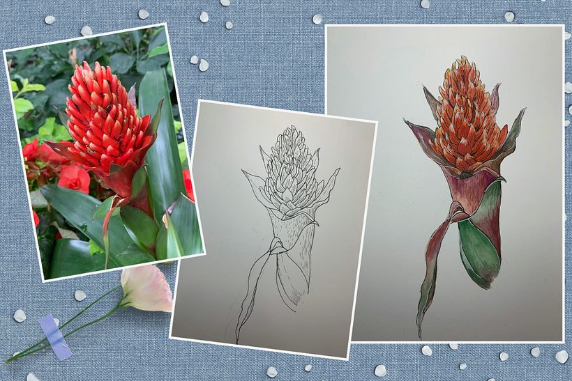 My project for course: Botanical Sketchbooking: A Meditative Approach 4