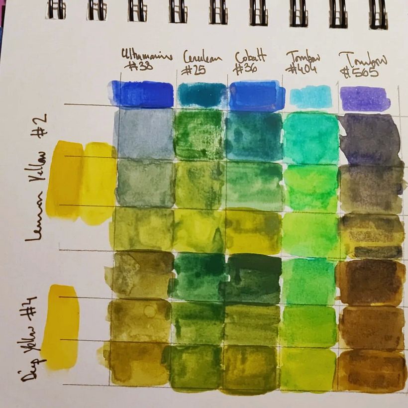 Mi proyecto del curso: Sketchbook botánico: una aproximación meditativa 11
