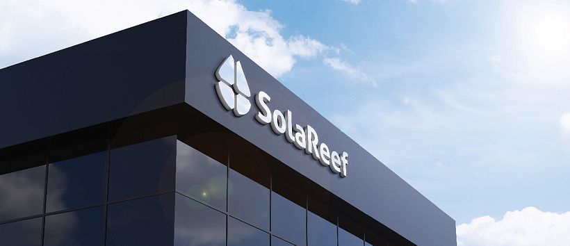 SolaReef: Logo Design: From Concept to Presentation 10