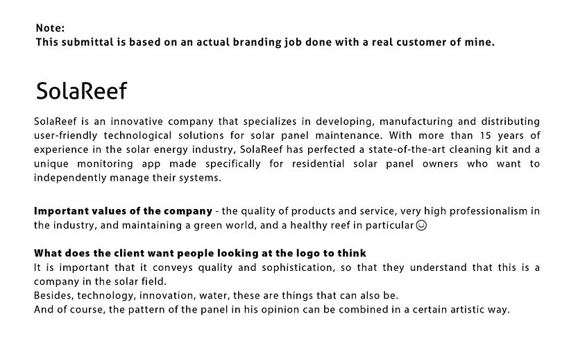 SolaReef: Logo Design: From Concept to Presentation 1