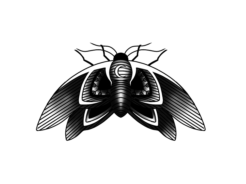 projeto de mariposa old school