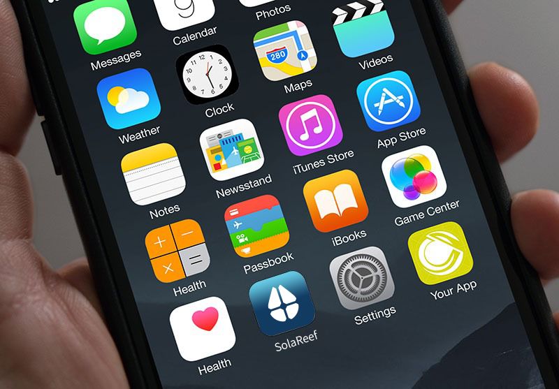 SolaReef: Logo Design: From Concept to Presentation 11