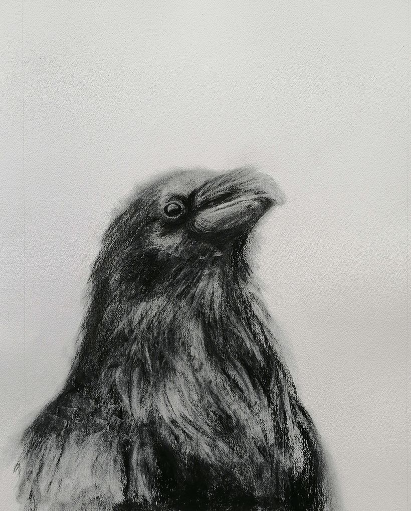 My project for course: Animal Illustration with Charcoal and Ink 21