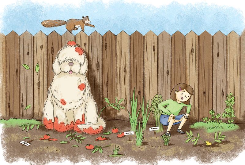 Illustrating and Writing a Children's Book 6