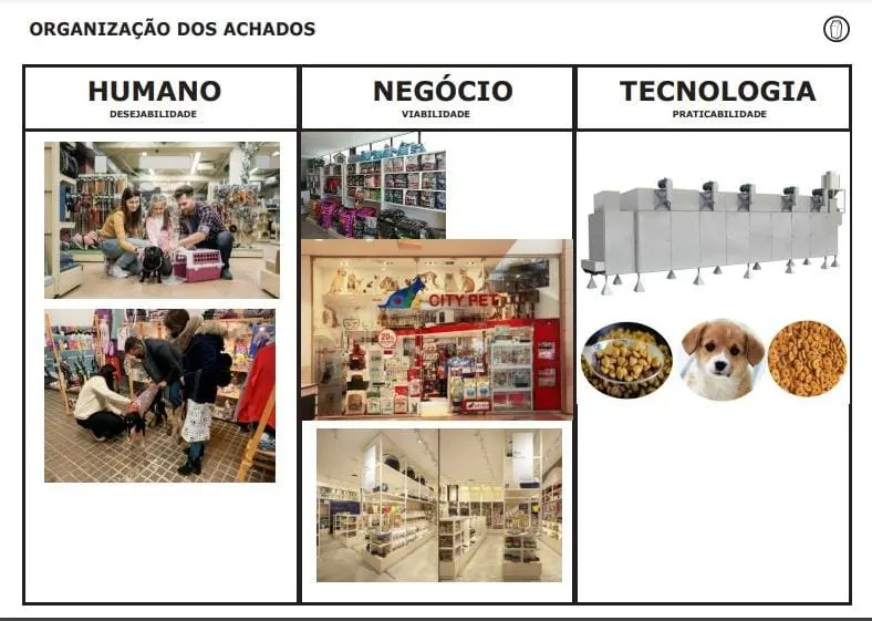 Mi proyecto del curso: Design thinking para la felicidad de tu mascota 3