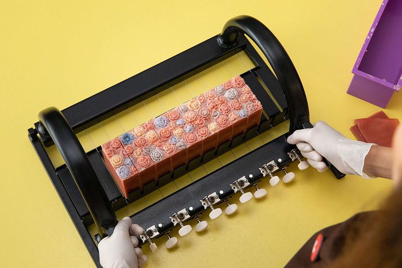 Proyecto Final: Jabón Primavera 5