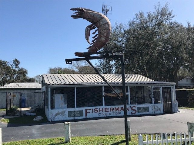 US Hwy 41 Bait Shop Bullfrog Creek (Giant Shrimp) Old Florida